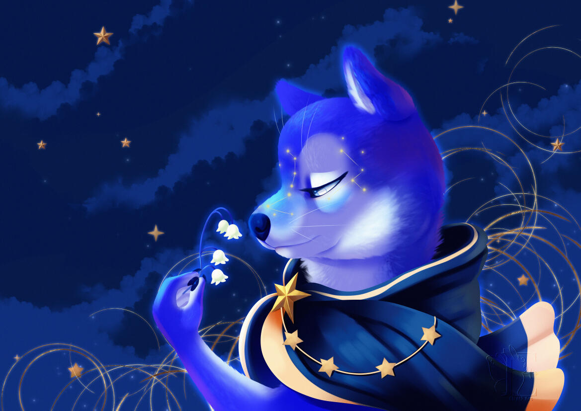 Blue shiba·Illustration