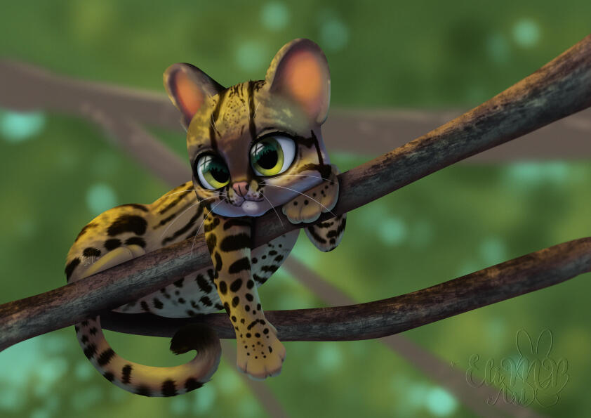 illustration·big cats