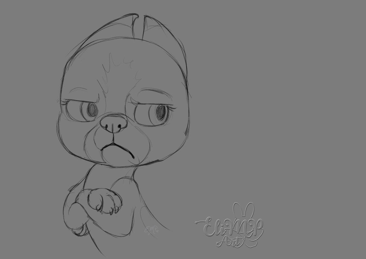 grumpy dog