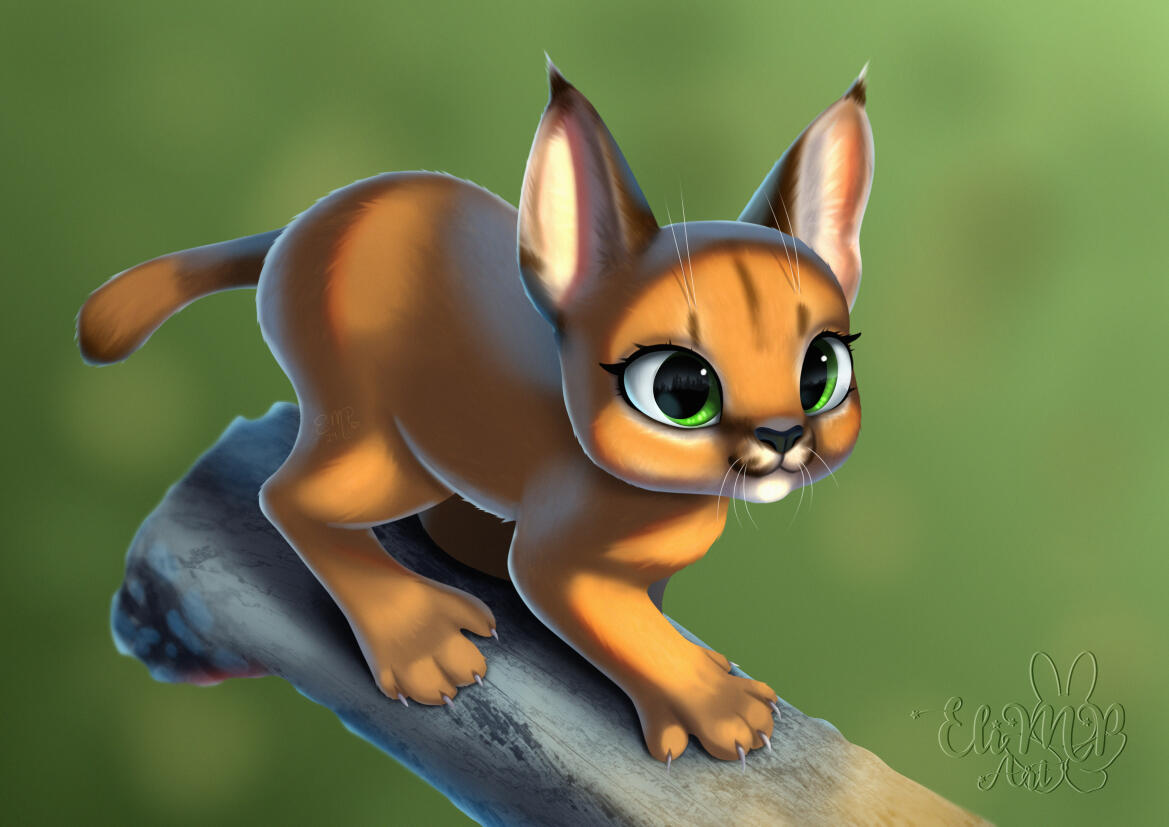 caracal