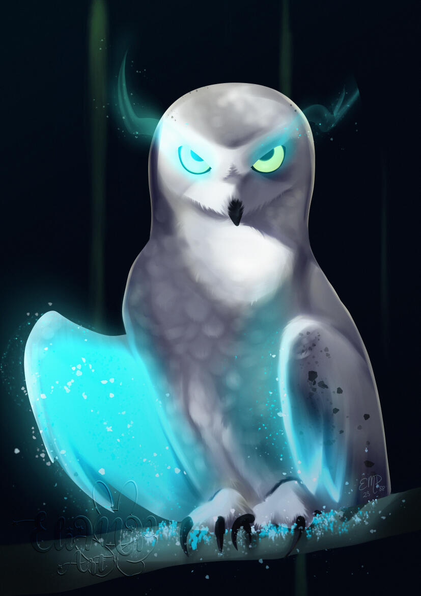 snowy owl