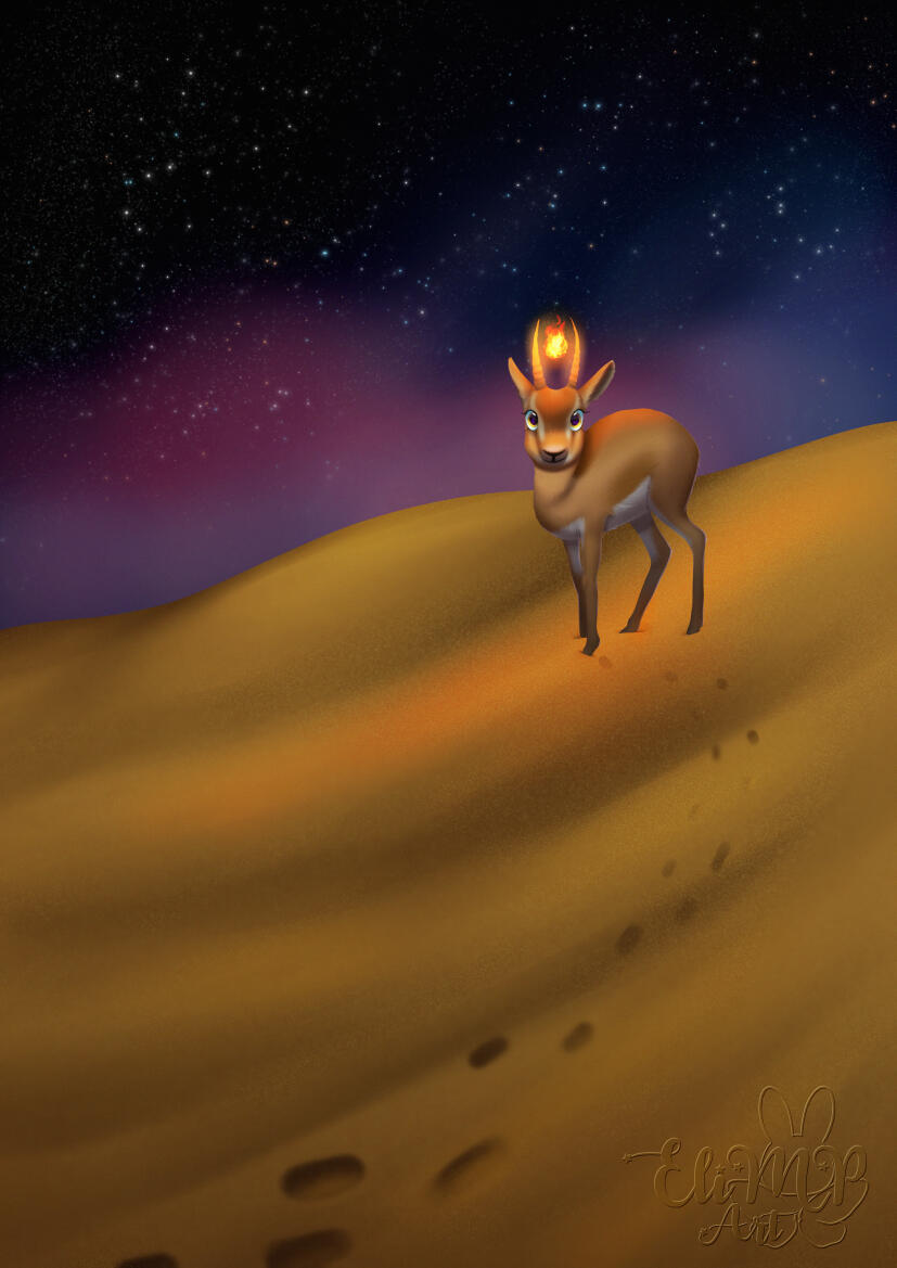 dorcas gazelle